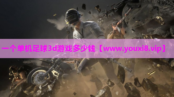 一个单机足球3d游戏多少钱