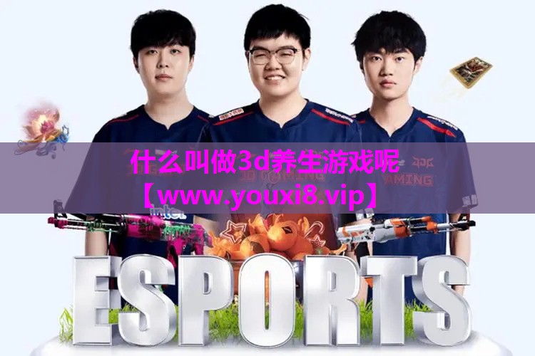 什么叫做3d养生游戏呢