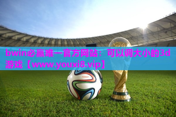 可以调大小的3d游戏