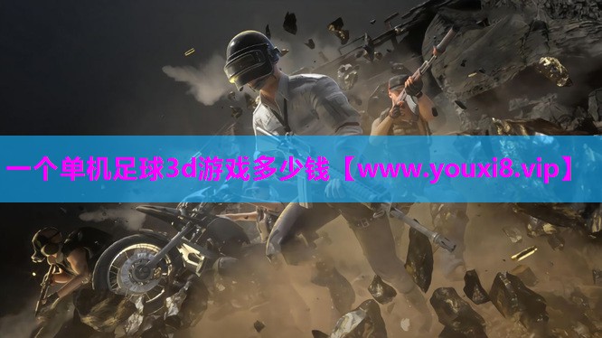 一个单机足球3d游戏多少钱