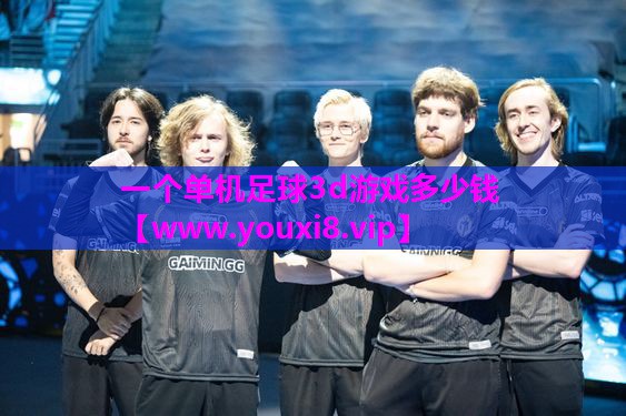 一个单机足球3d游戏多少钱