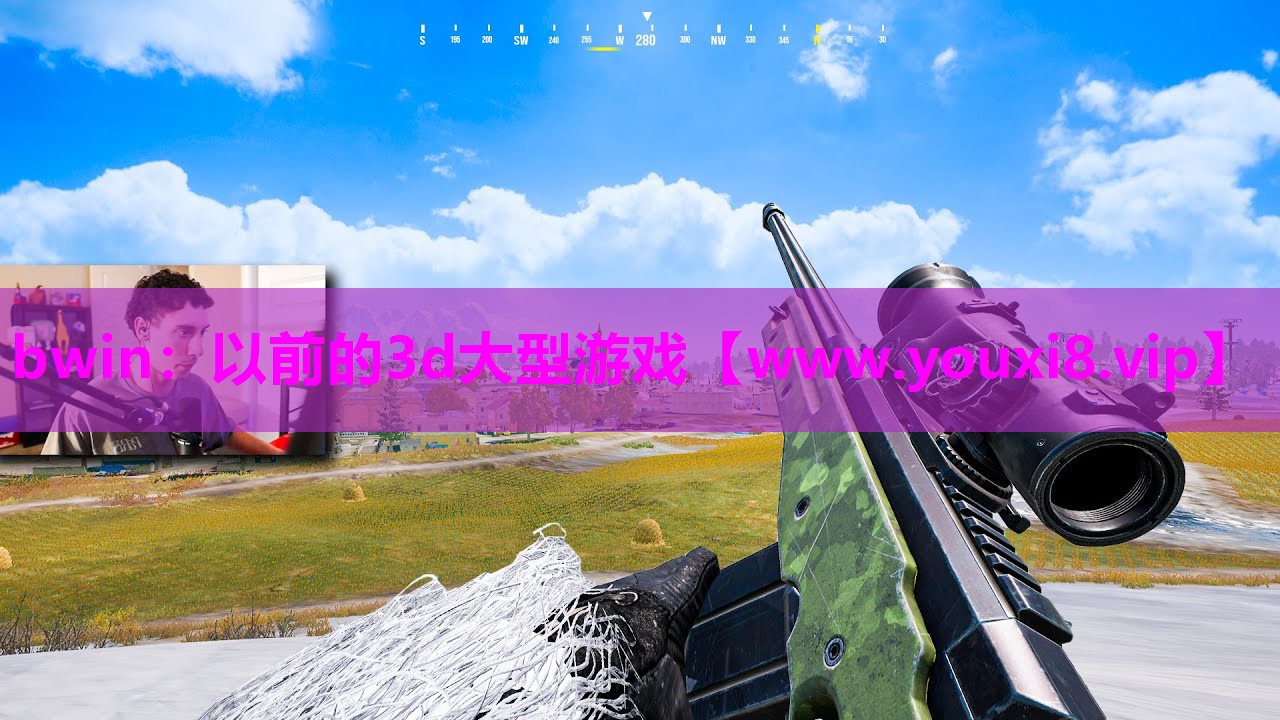 以前的3d大型游戏