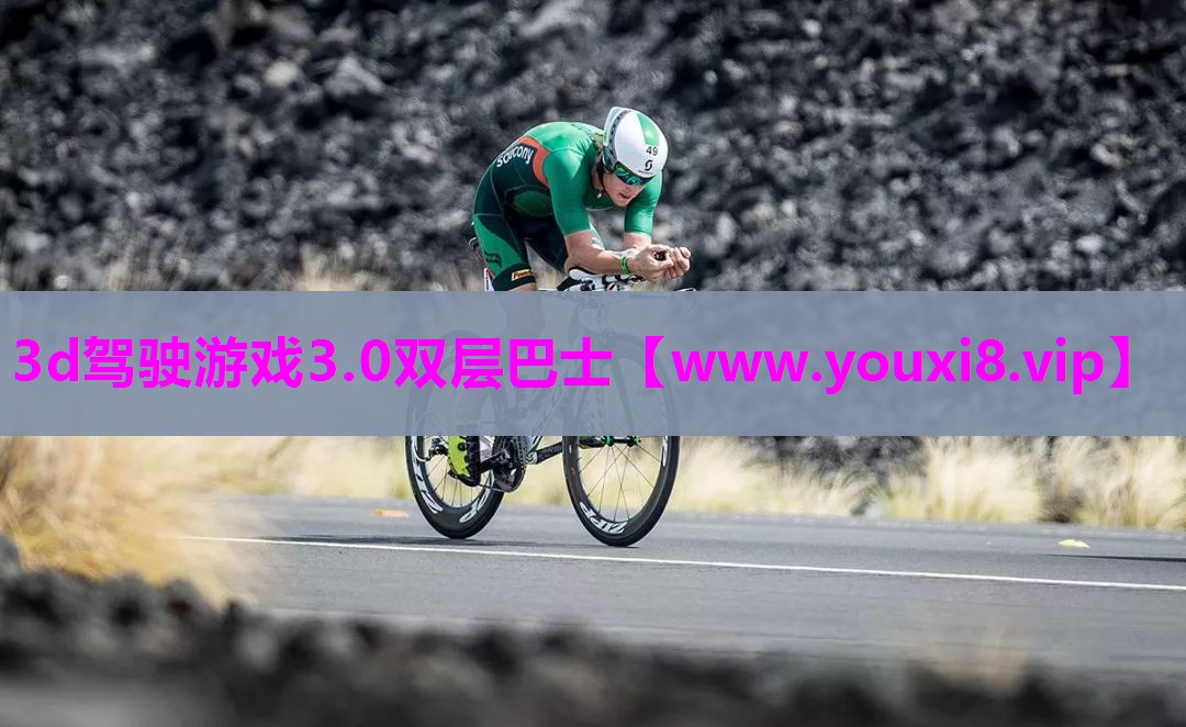 3d驾驶游戏3.0双层巴士